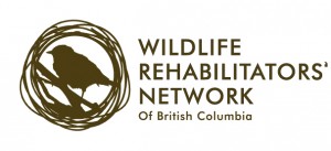 wrn_logo_c-300x137